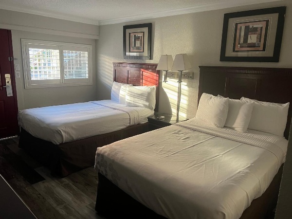 Dream Inn Main image